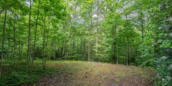 1501 Sprucy Ridge Private Road