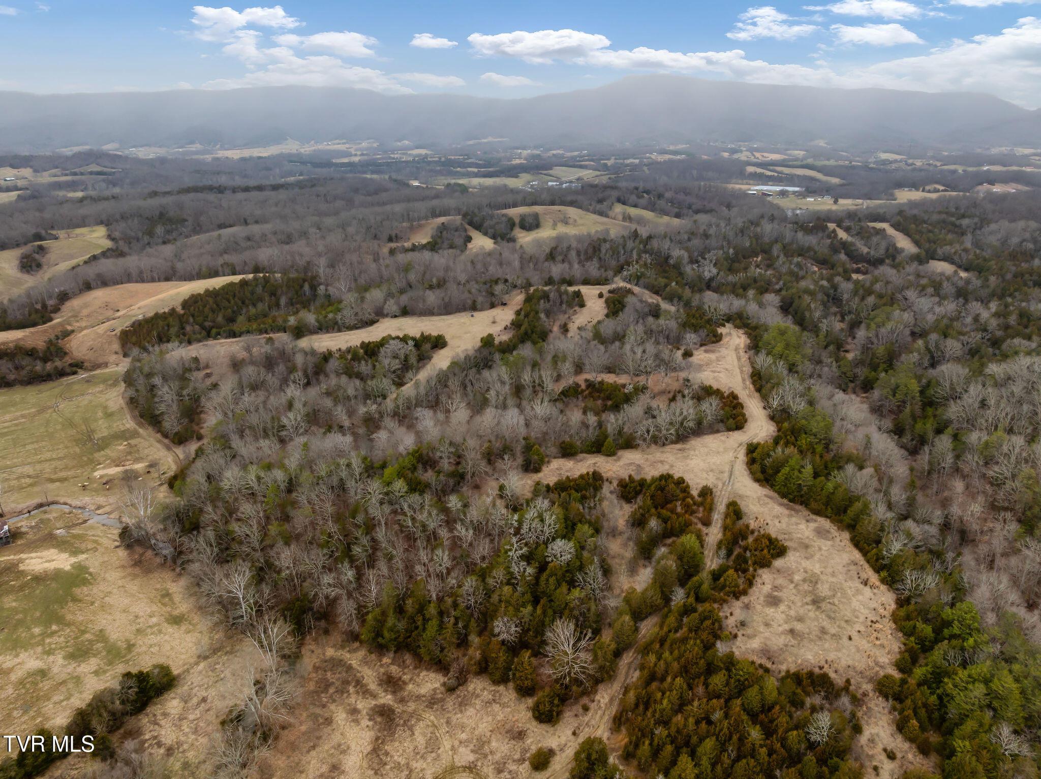 Image 4: DJI_0956