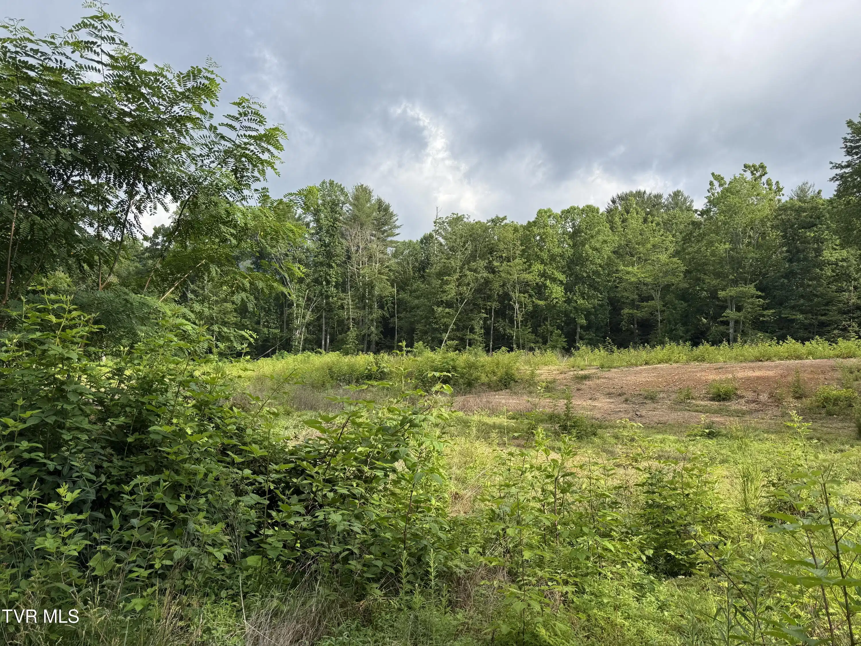 Image 1: TBD Rhea Lane 3