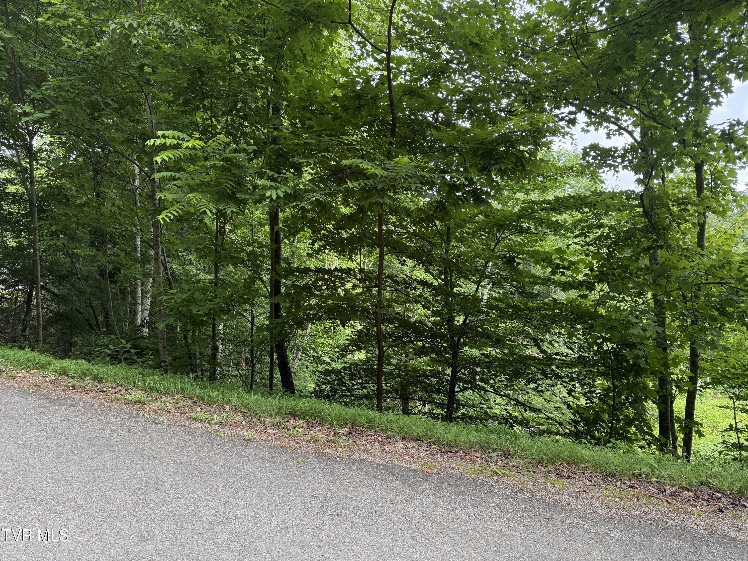 Image 2: TBD Rhea Lane