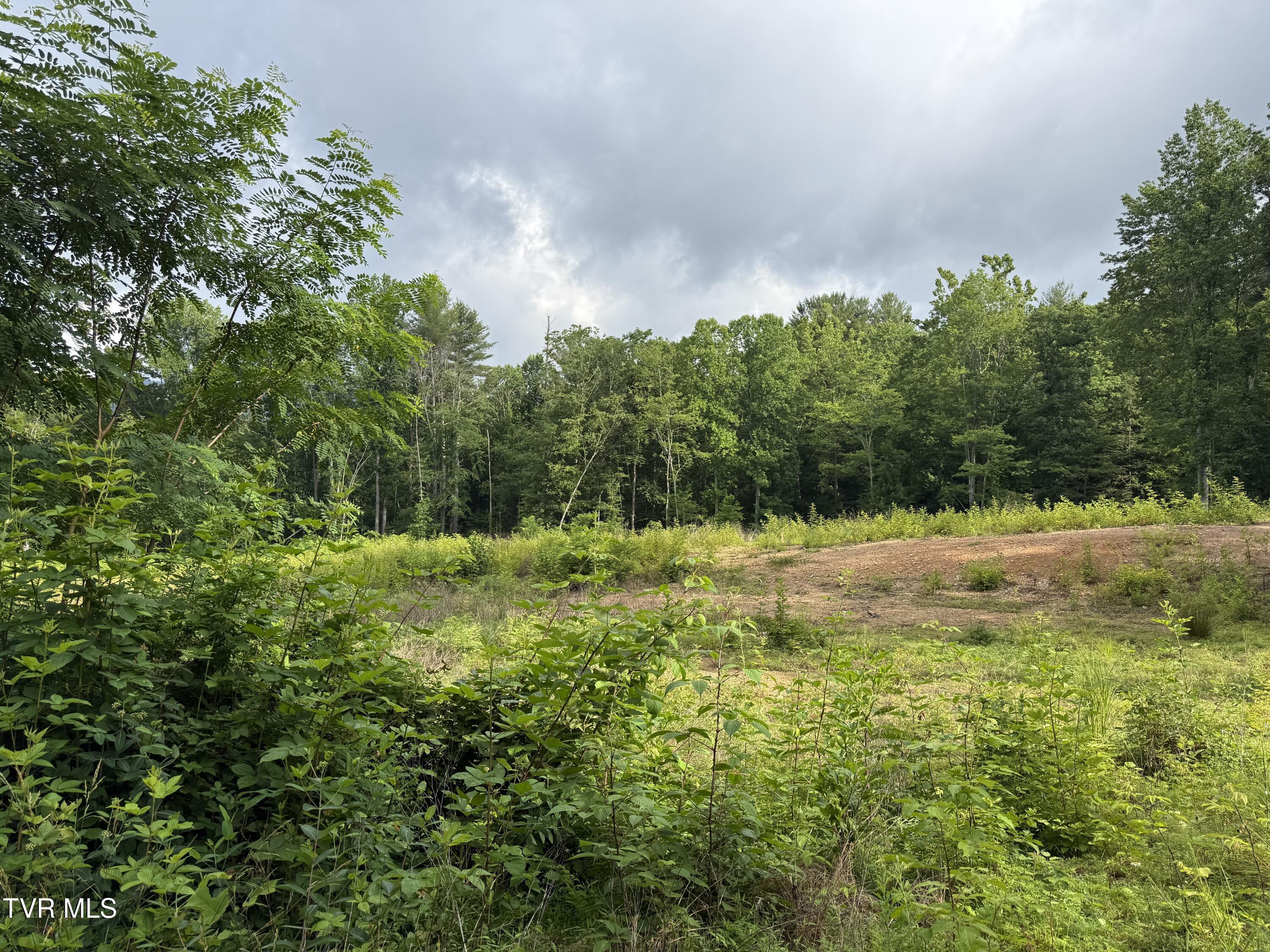 Image 3: TBD Rhea Lane 1
