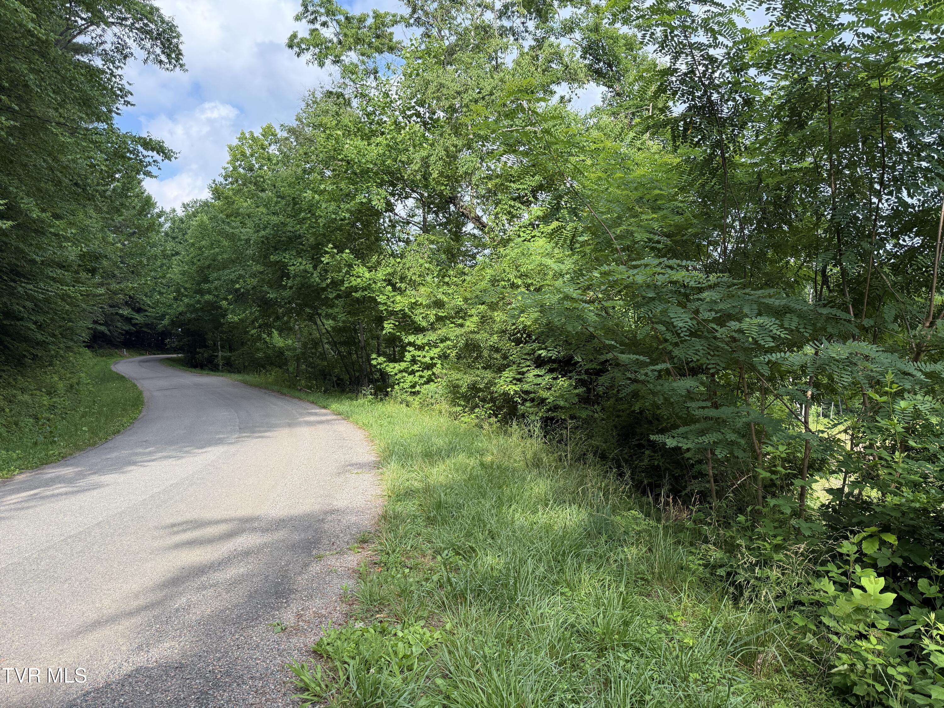 Image 4: TBD Rhea Lane 4