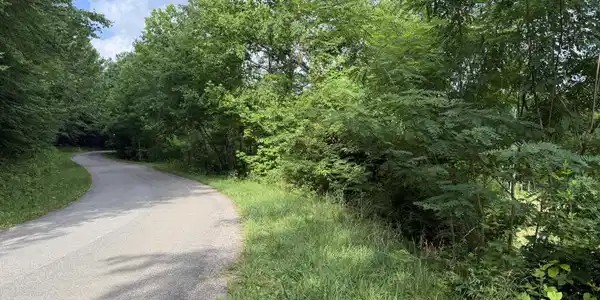 Image 4: TBD Rhea Lane 4