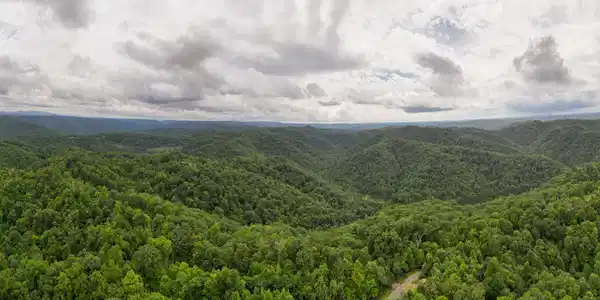 Image 2: Dickenson Co Acreage-7