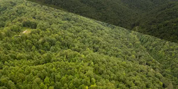 Image 3: Dickenson Co Acreage-5