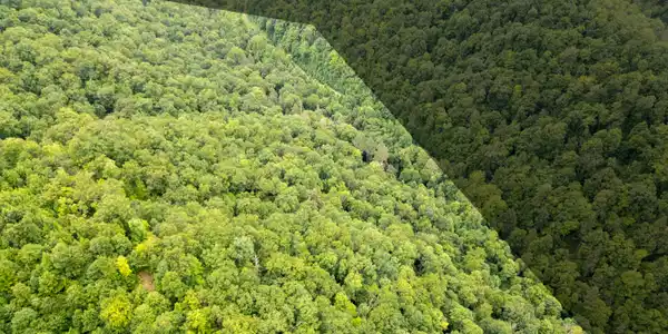 Image 4: Dickenson Co Acreage-4
