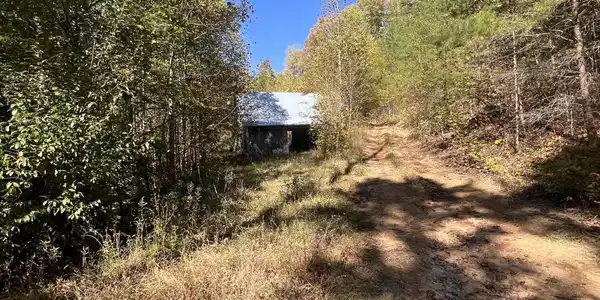 184 Charlie Harrell Lane