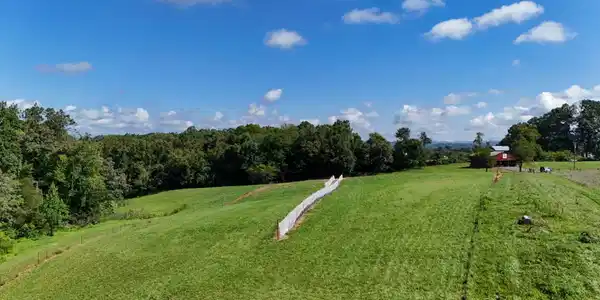 Image 4: 6-web-or-mls-433 California Ave Drone AP
