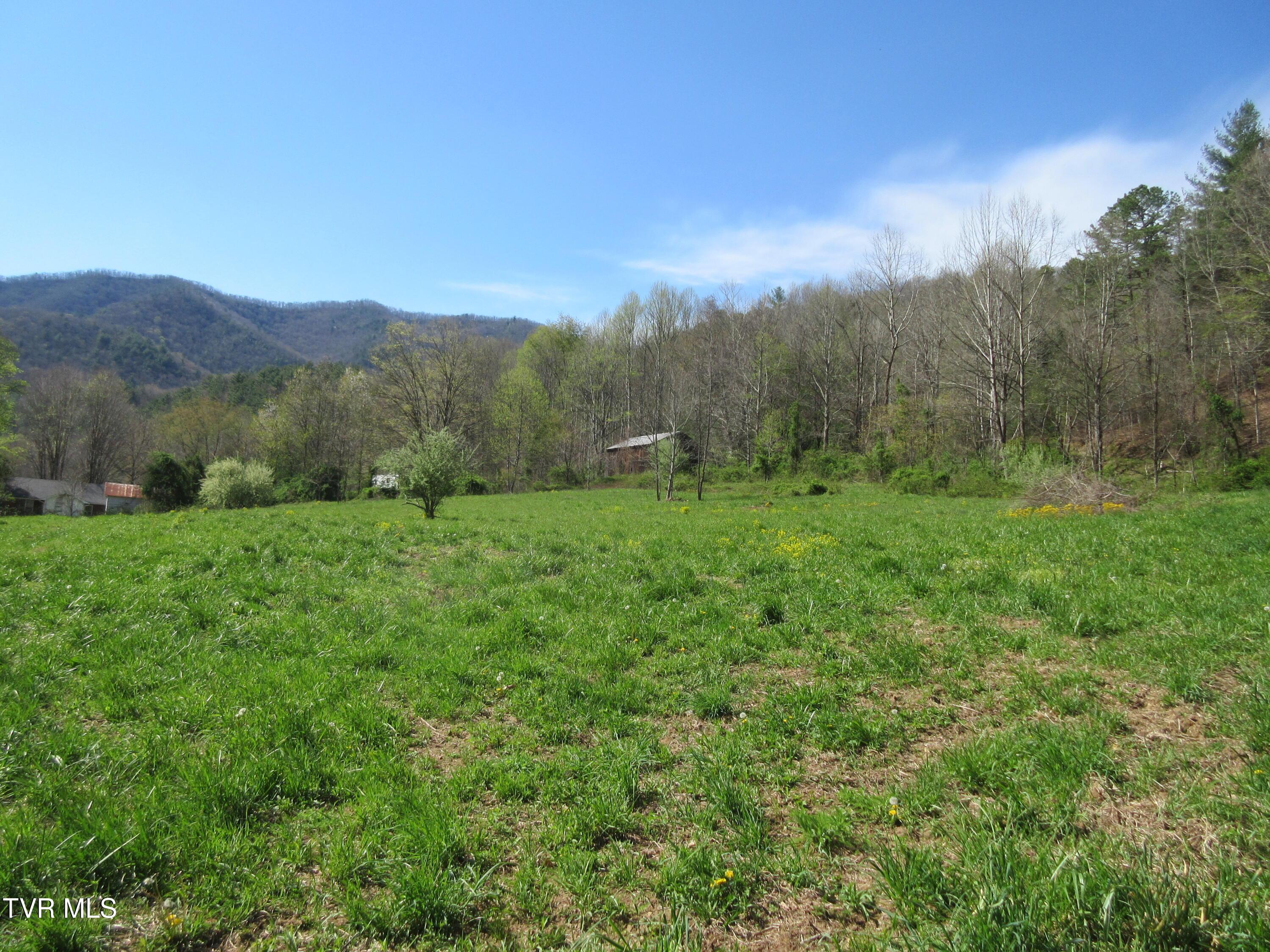 Image 3: IMG_0467