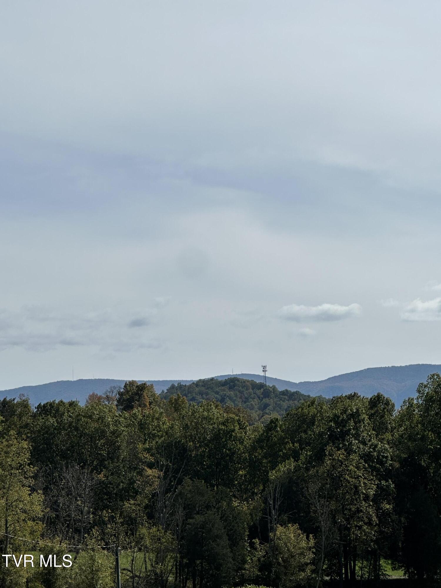 Image 2: IMG_7512 (1)