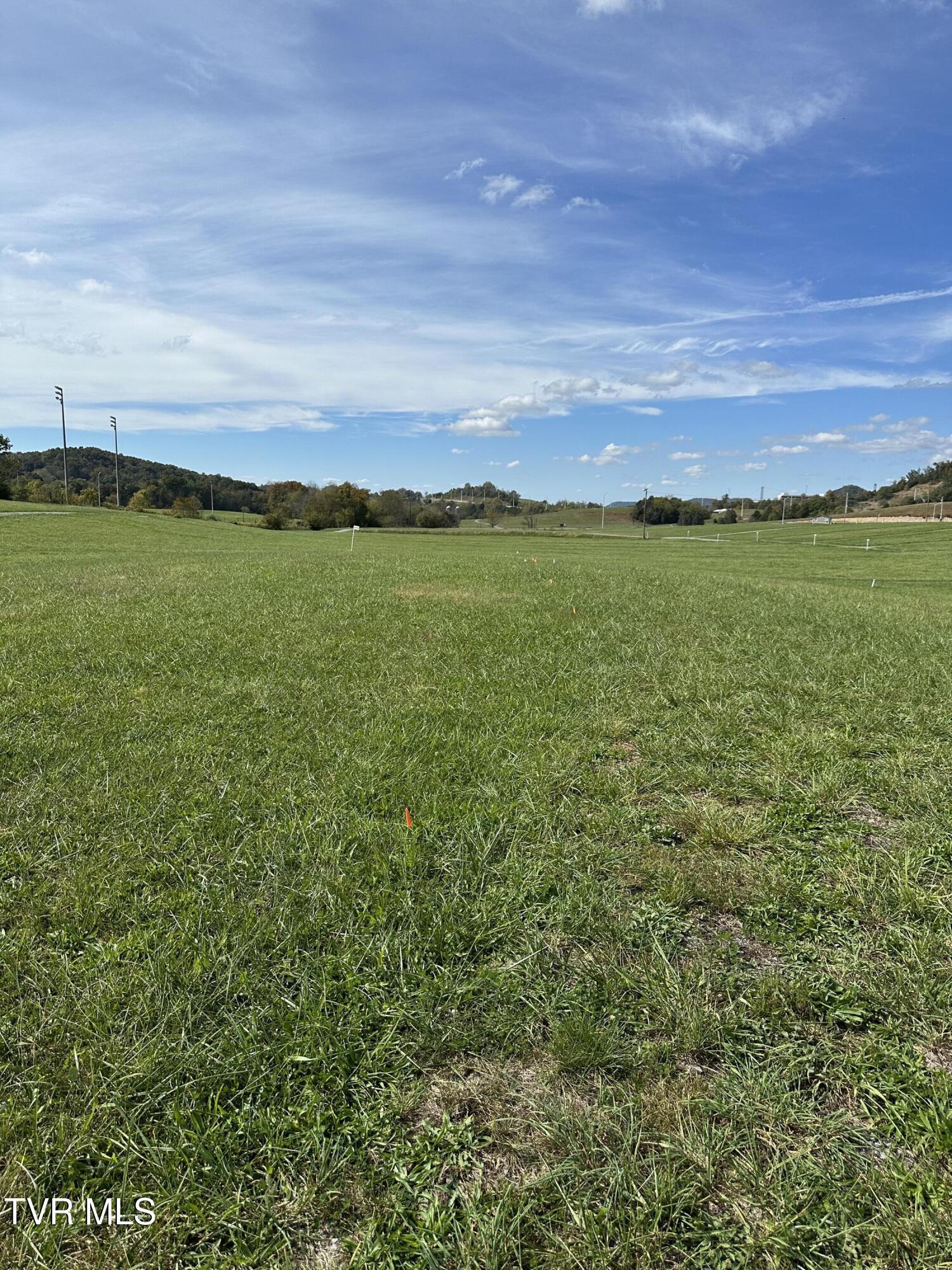 Image 3: IMG_7511 (1)