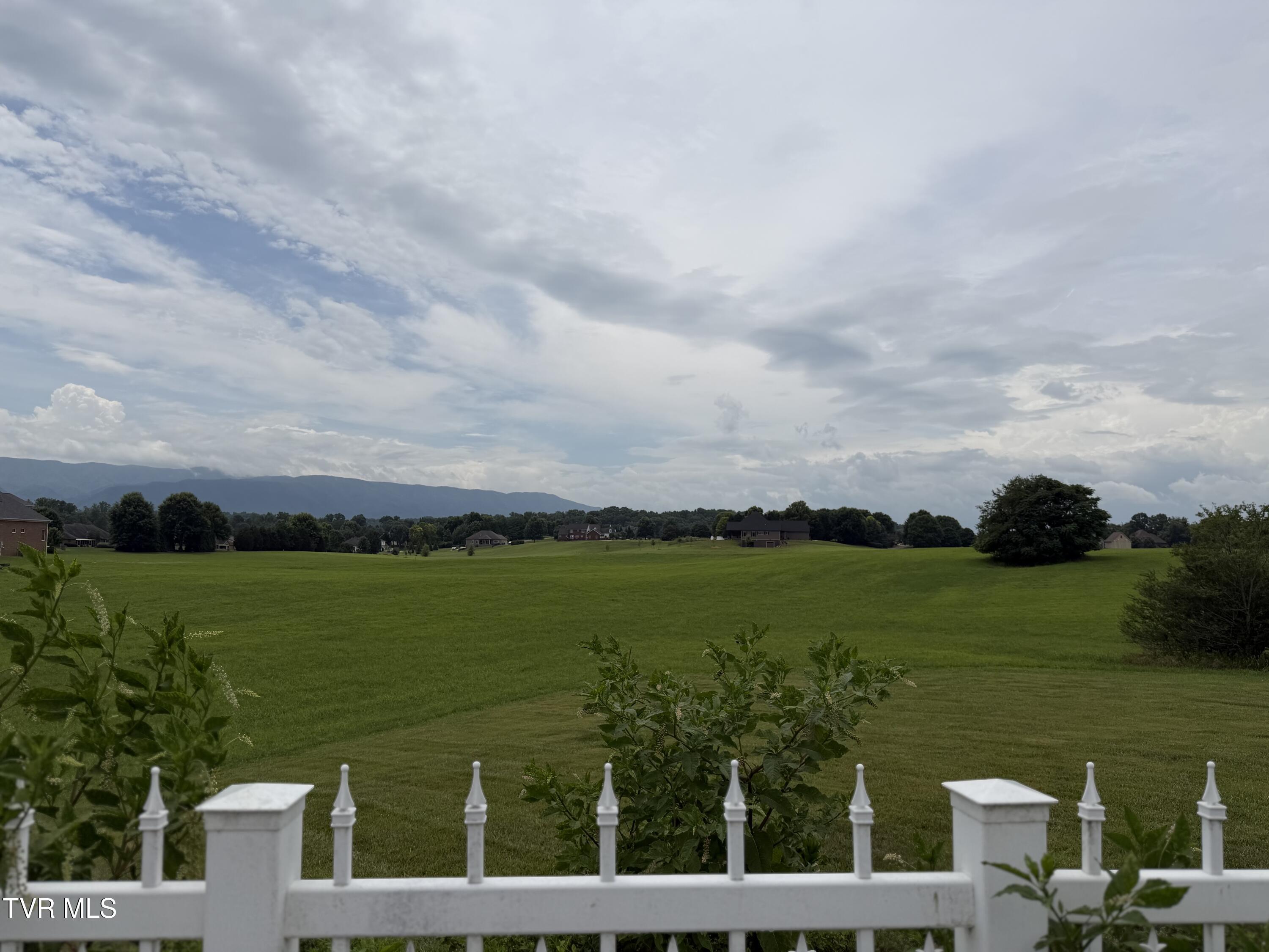 Image 2: IMG_2869
