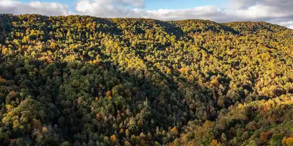 Image 3: Caney Creek Ln-3