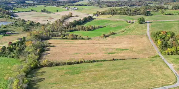 Image 4: 16-web-or-mls-DJI_0508 - Copy