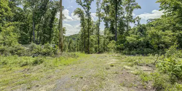 Image 4: VaneyCreek-1