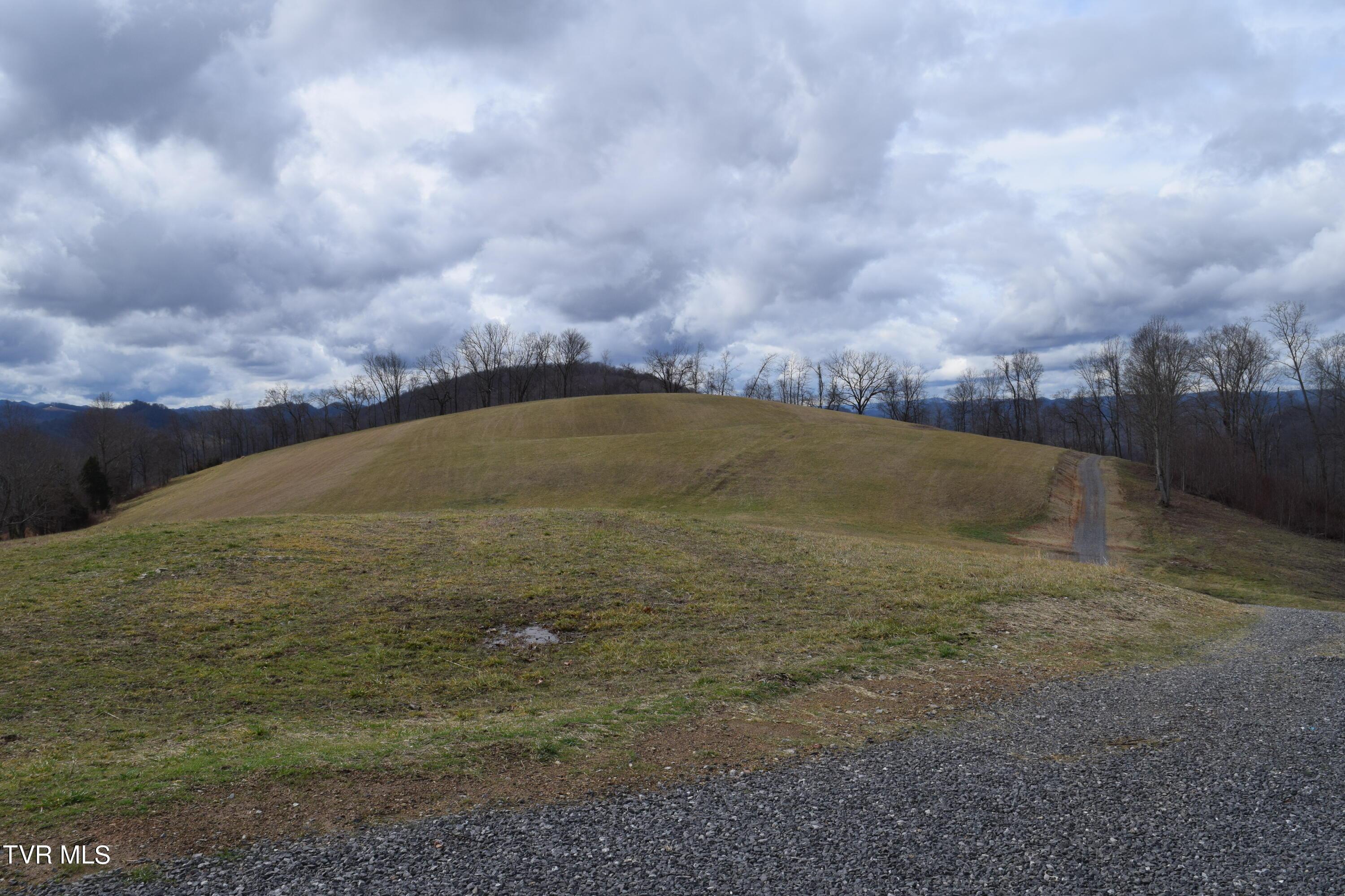Image 1: DSC_0219