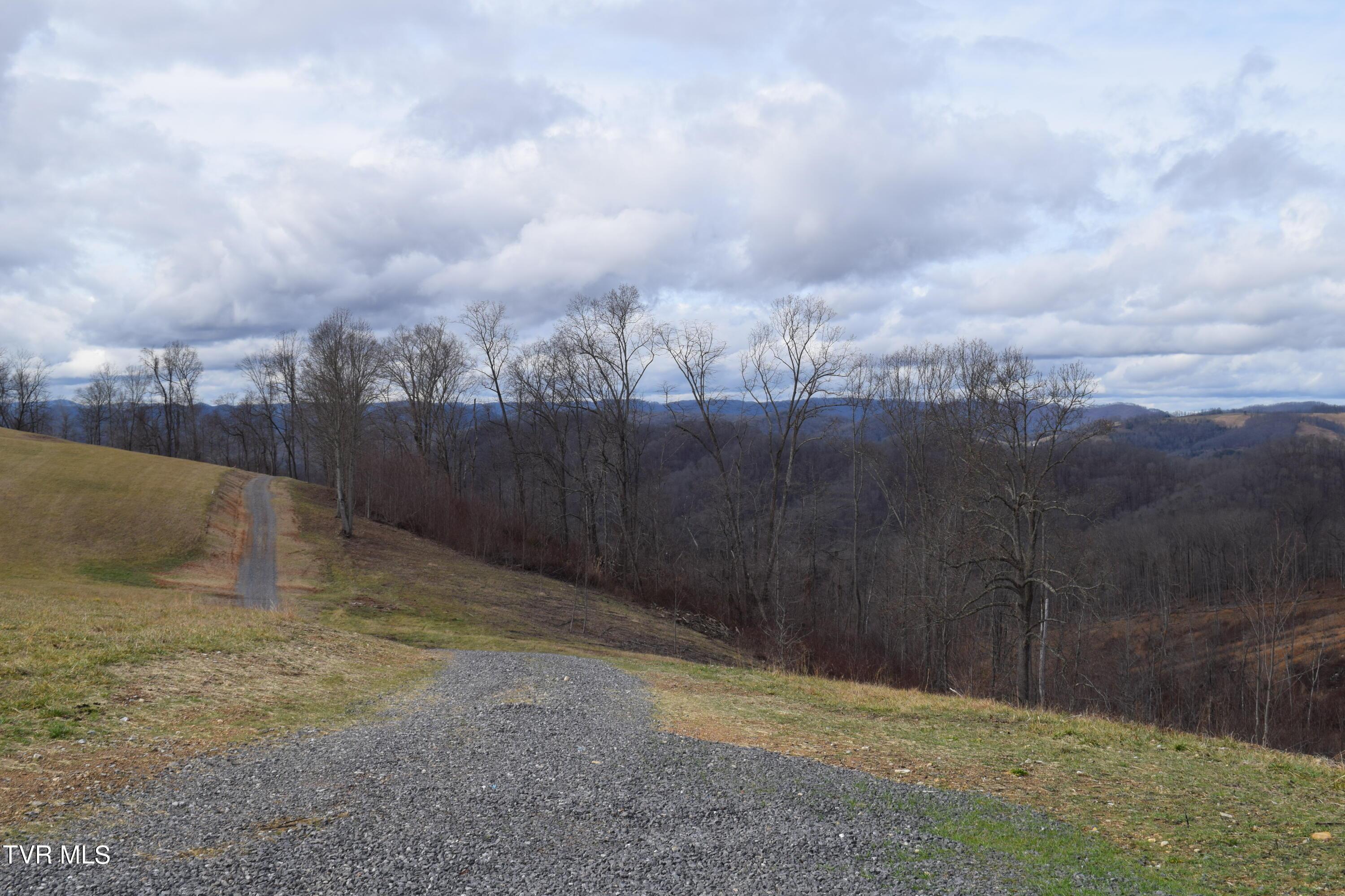 Image 2: DSC_0220