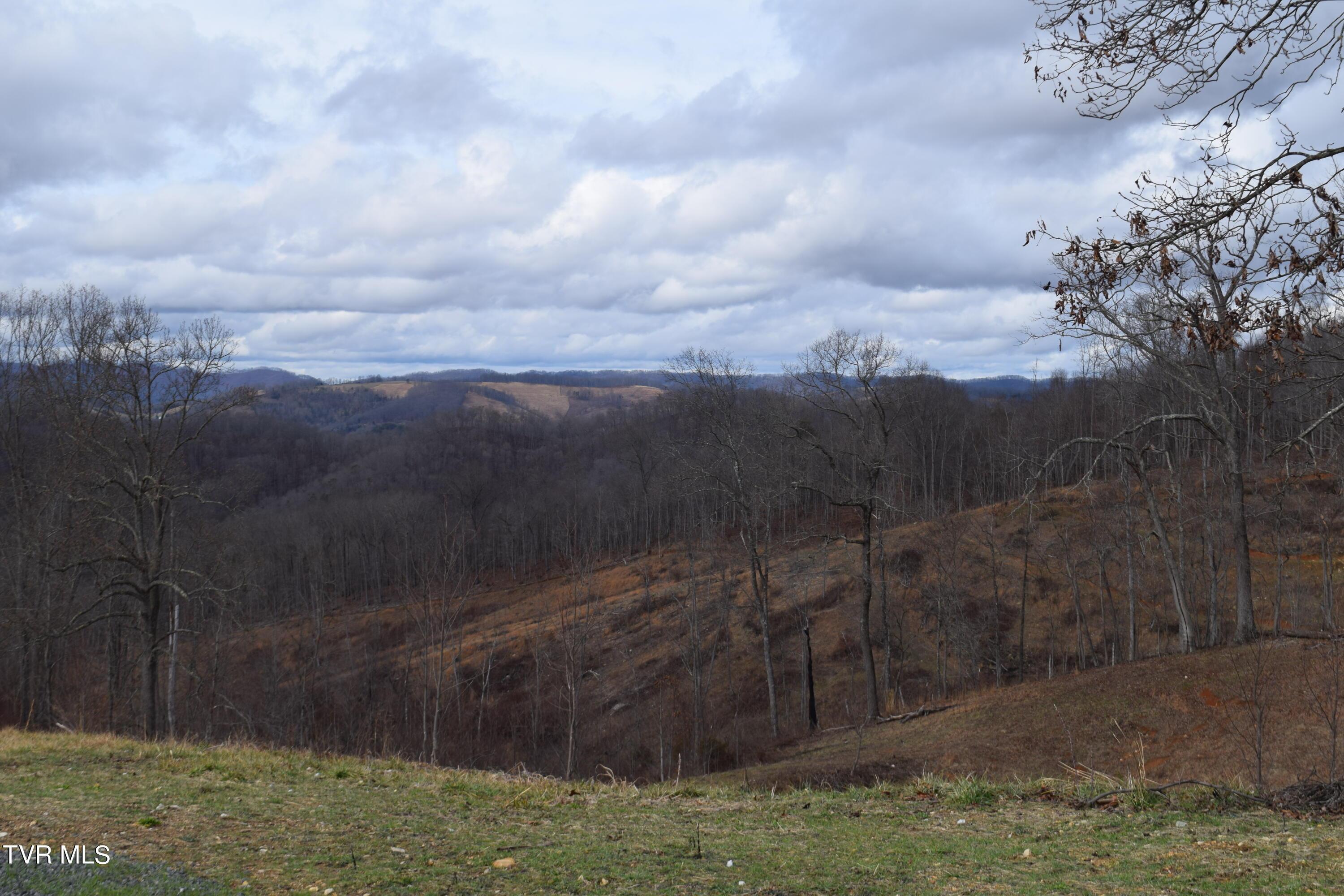Image 3: DSC_0221