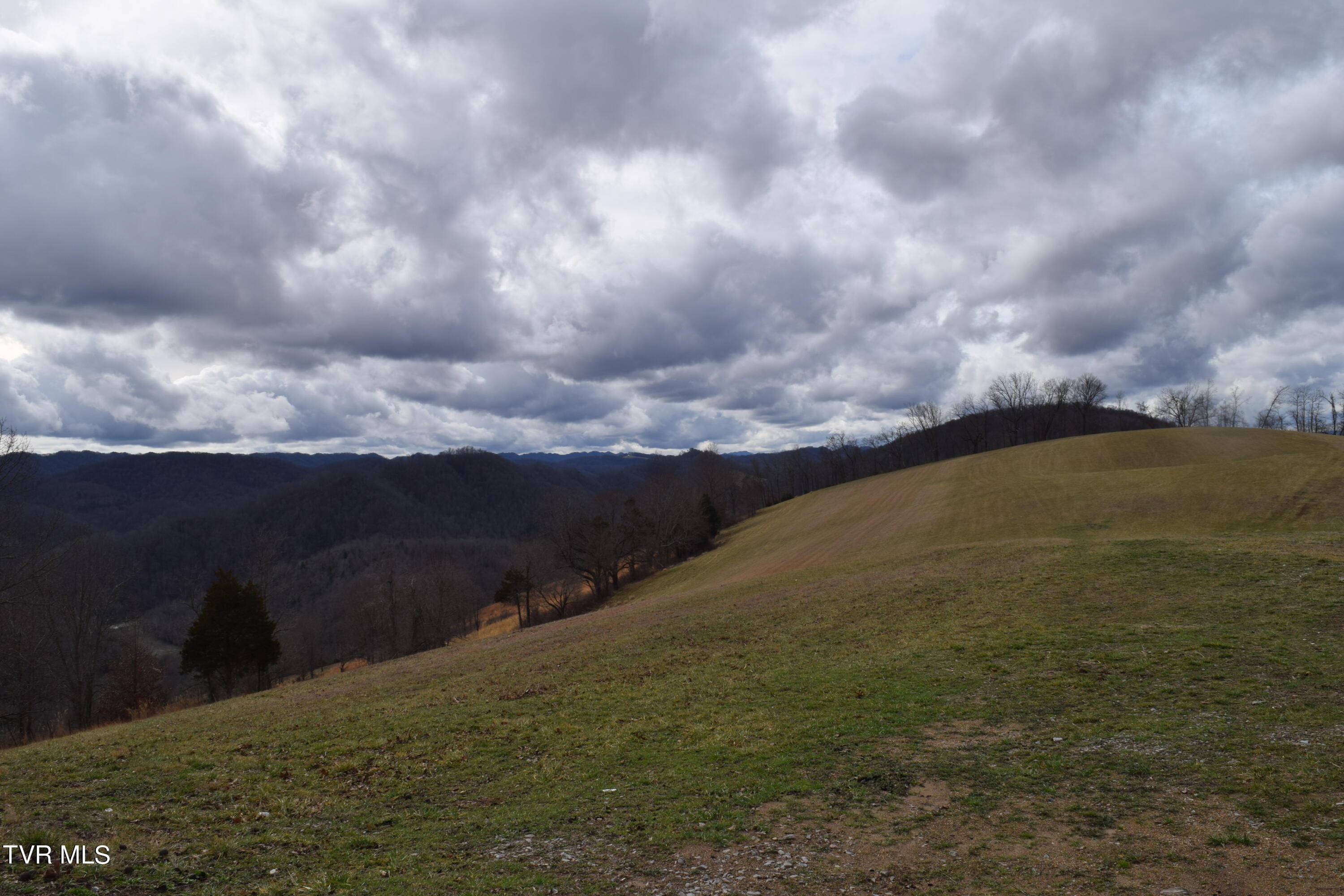 Image 4: DSC_0226