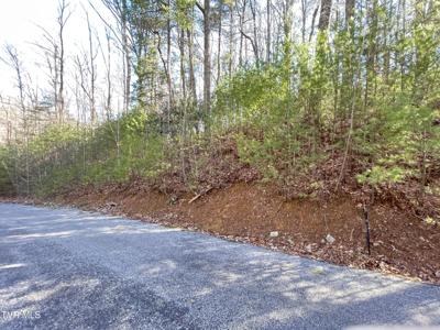 0 York Cabin/Heidi Hill Ln Road