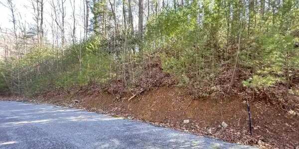 0 York Cabin/Heidi Hill Ln Road