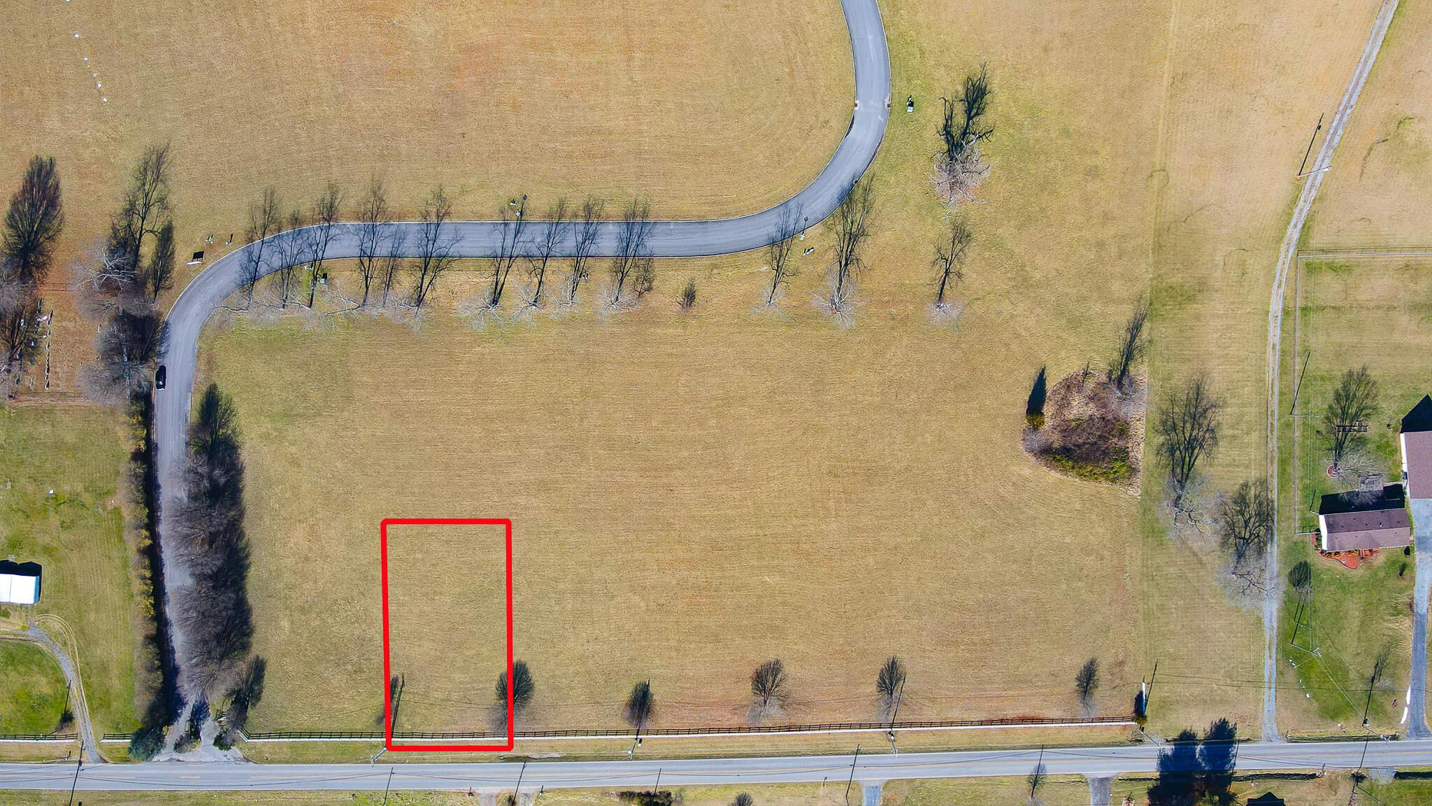 Image 1: 6 Birds Eye w PL