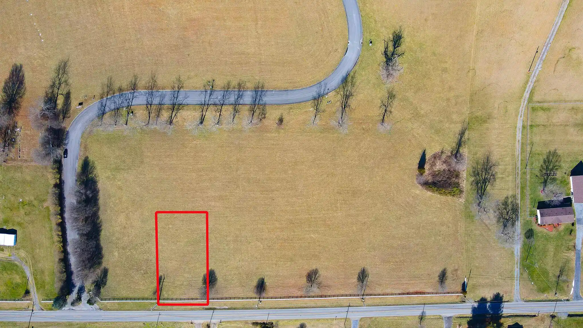 Image 1: 6 Birds Eye w PL