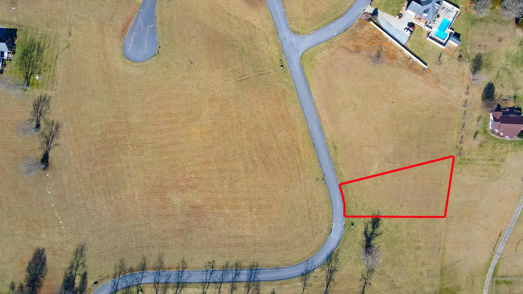 Image 1: 15 Birds Eye w PL