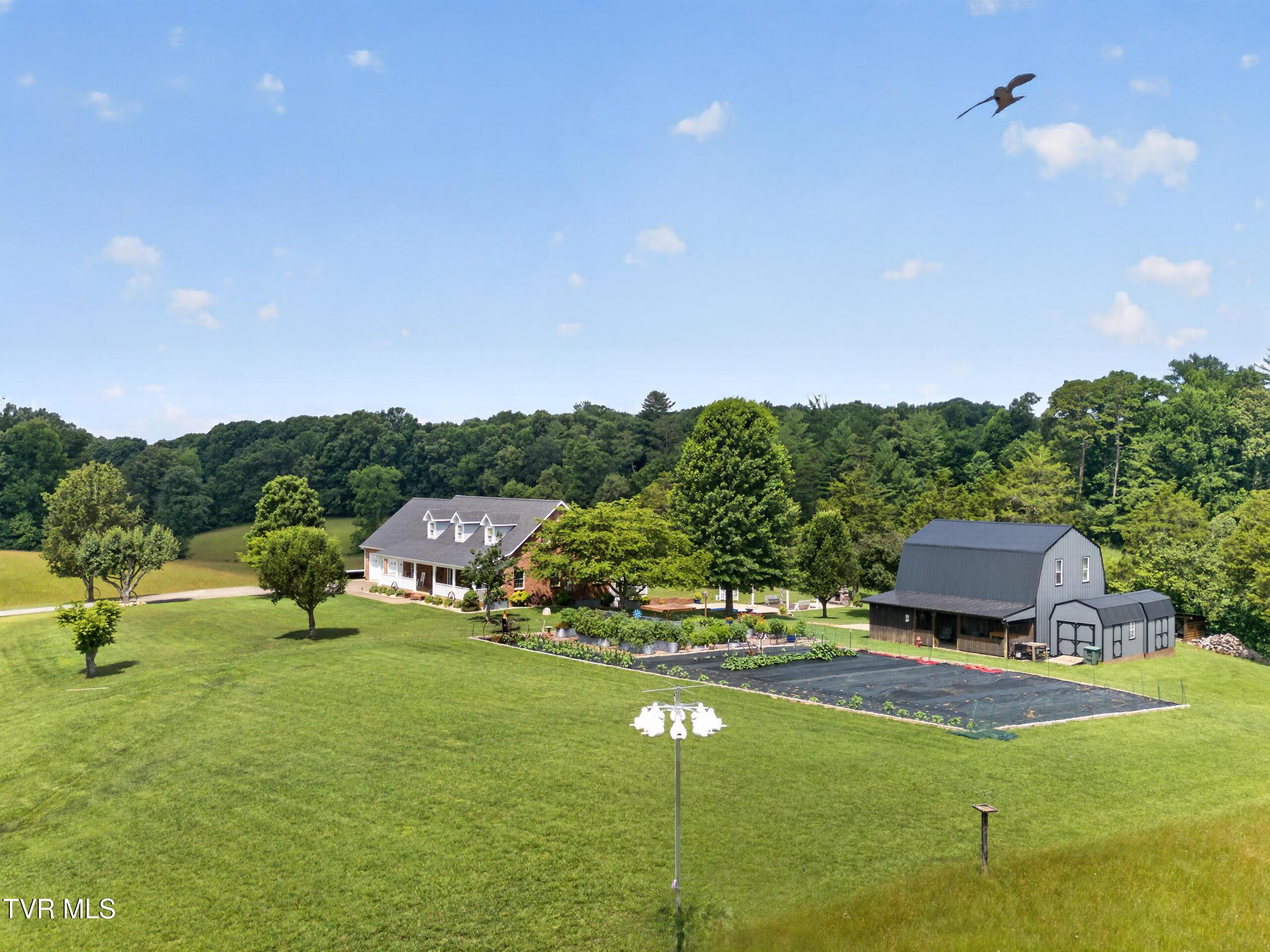 Image 4: DJI_0150
