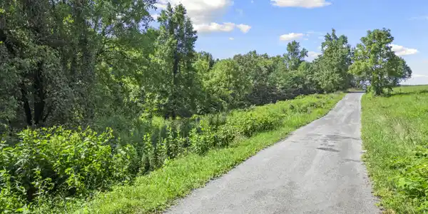 Image 3: DJI_0703