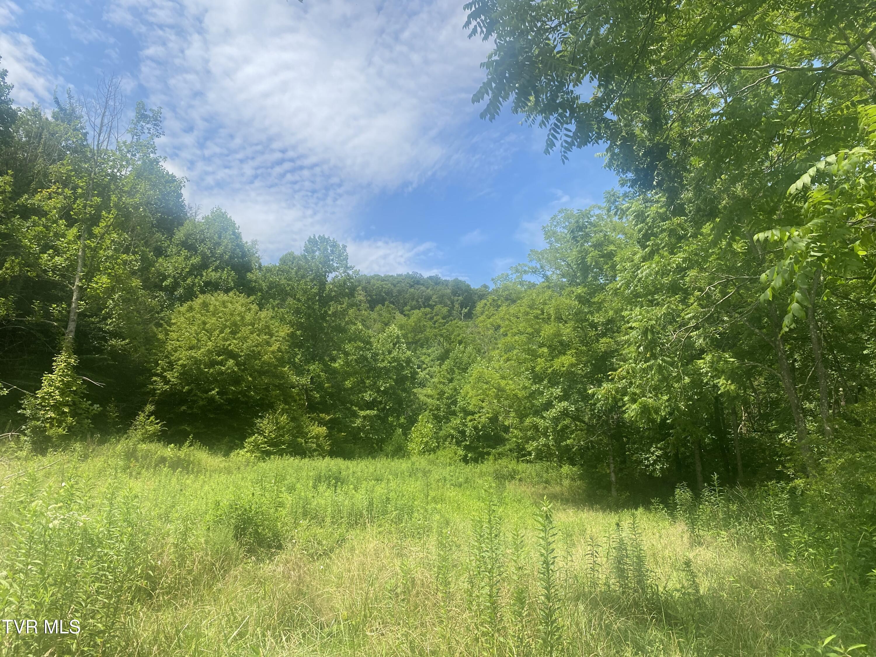 Image 2: IMG_6368