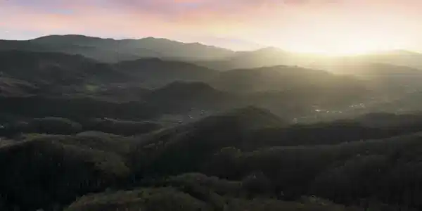 Tbd Buck Mountain Road
