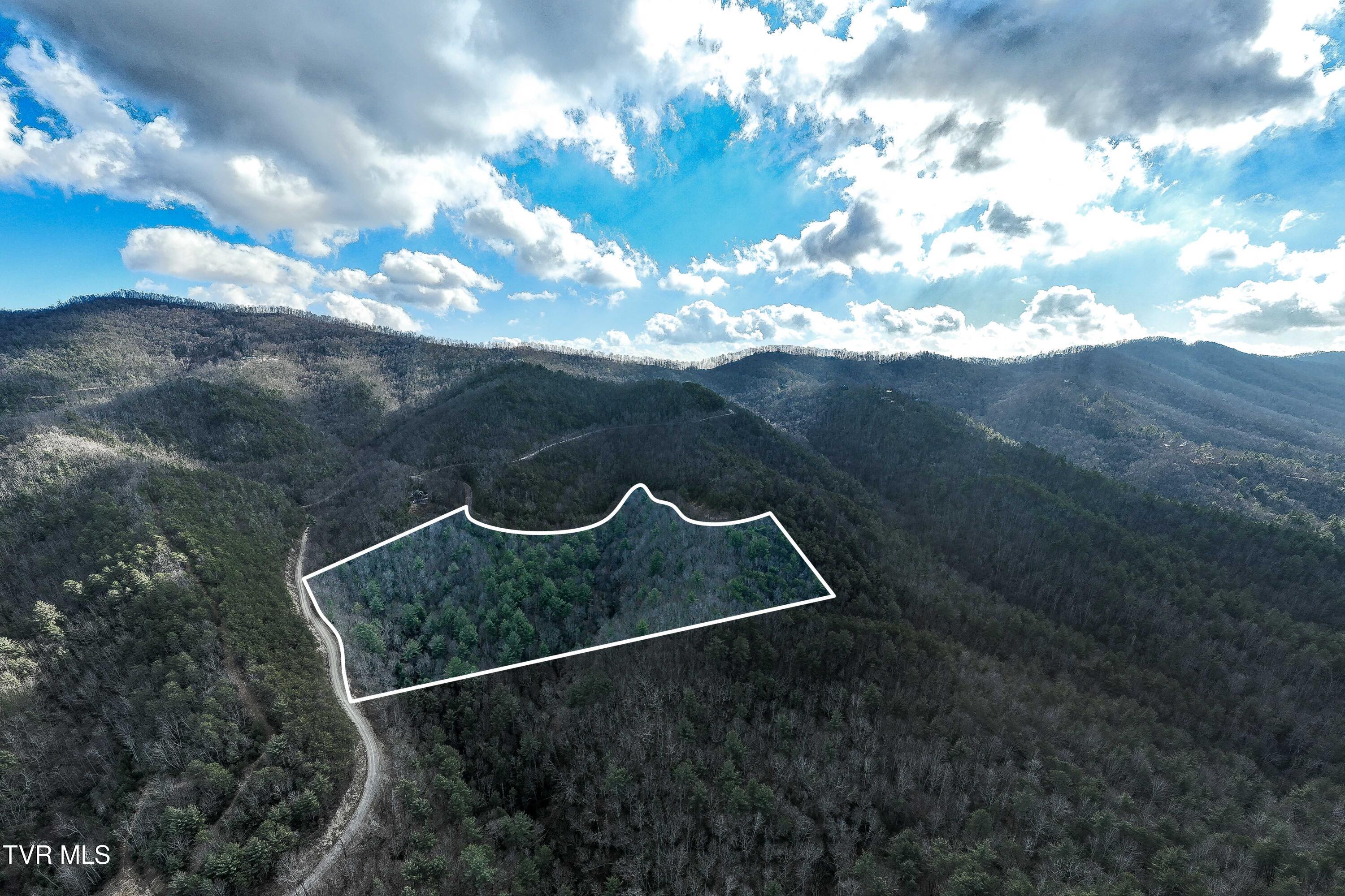 Image 3: TBD Locust Gap Road (3 of 35)