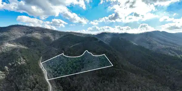 Image 3: TBD Locust Gap Road (3 of 35)
