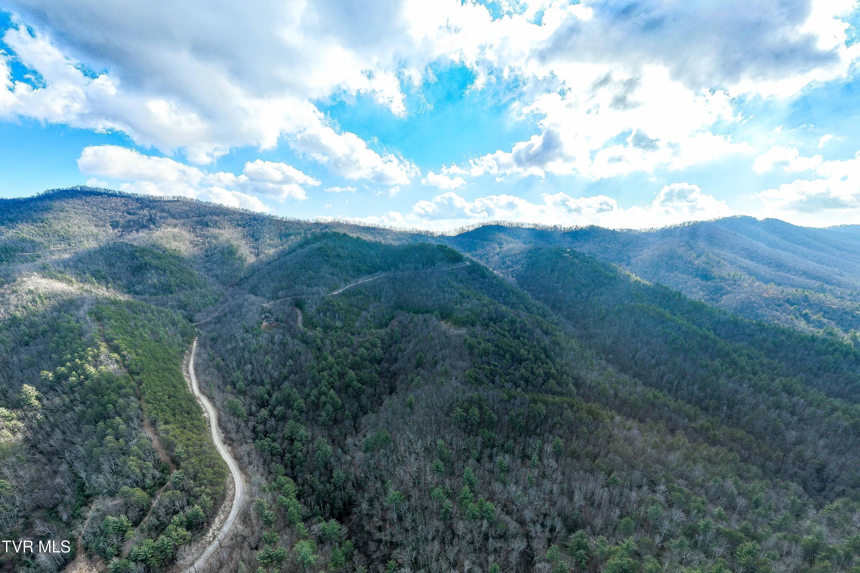 Image 4: TBD Locust Gap Road (4 of 35)