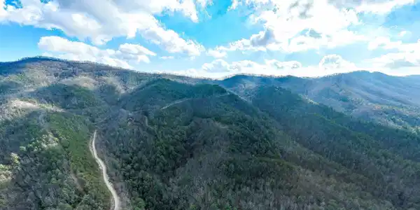 Image 4: TBD Locust Gap Road (4 of 35)