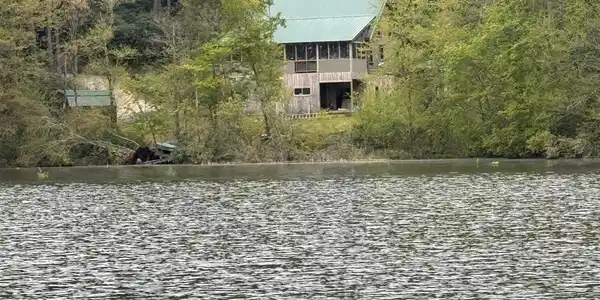368 Ripshin Lake Road