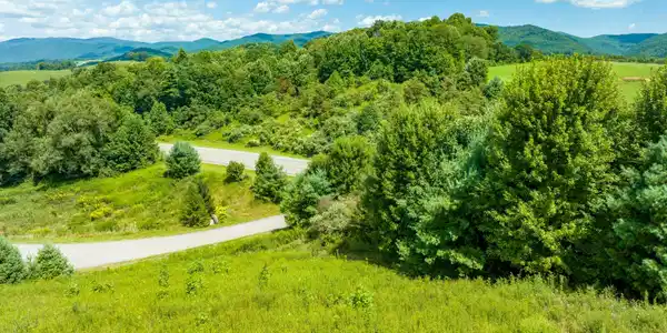 Image 4: TBD Laurel Way (16 of 18)