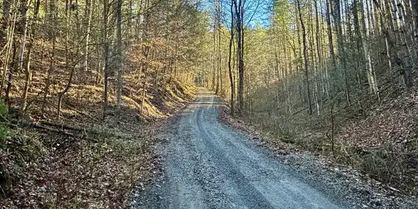 25.72/Ac Tbd Rollins Road