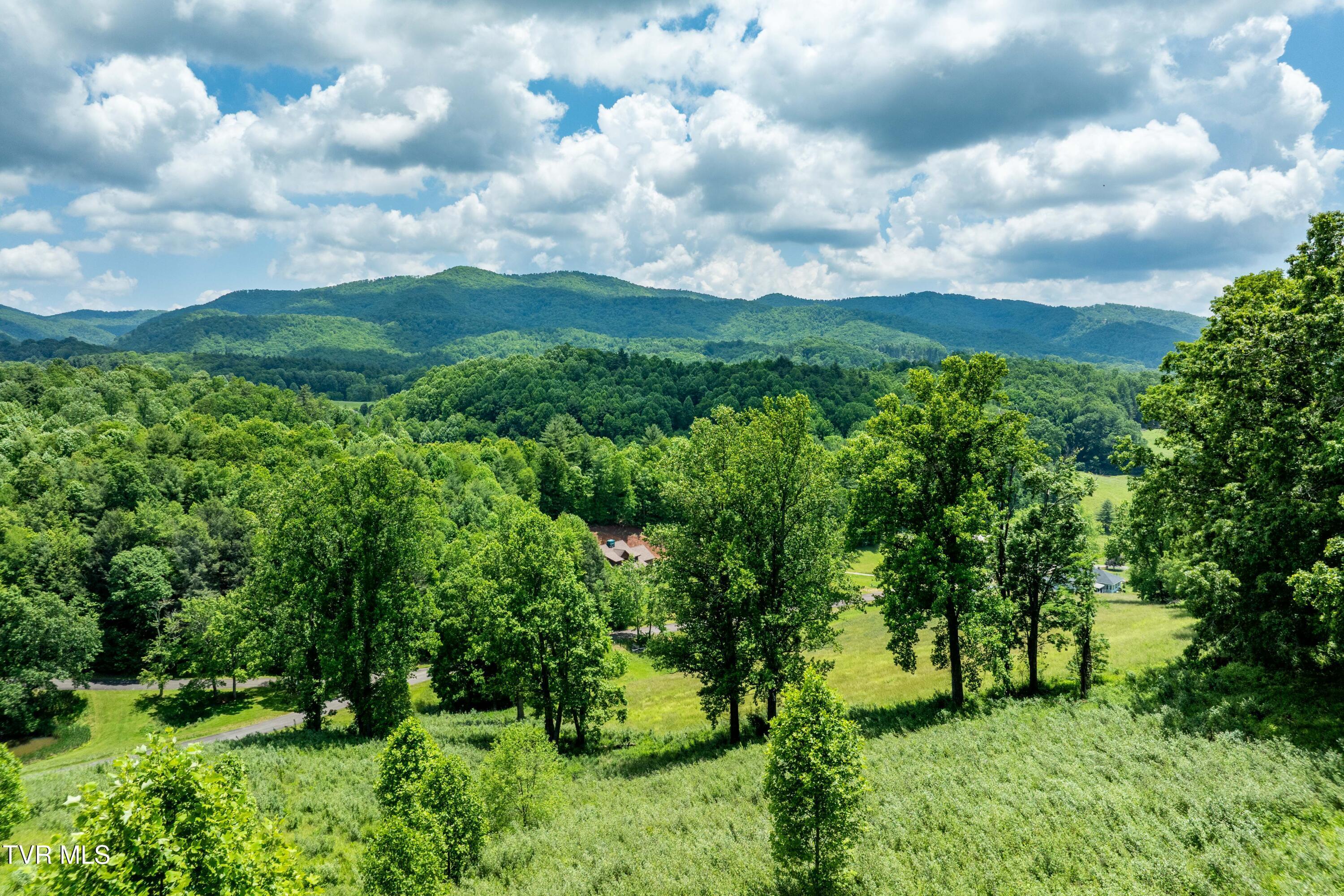 Image 2: TBD Ridgeview Dr (21 of 43)
