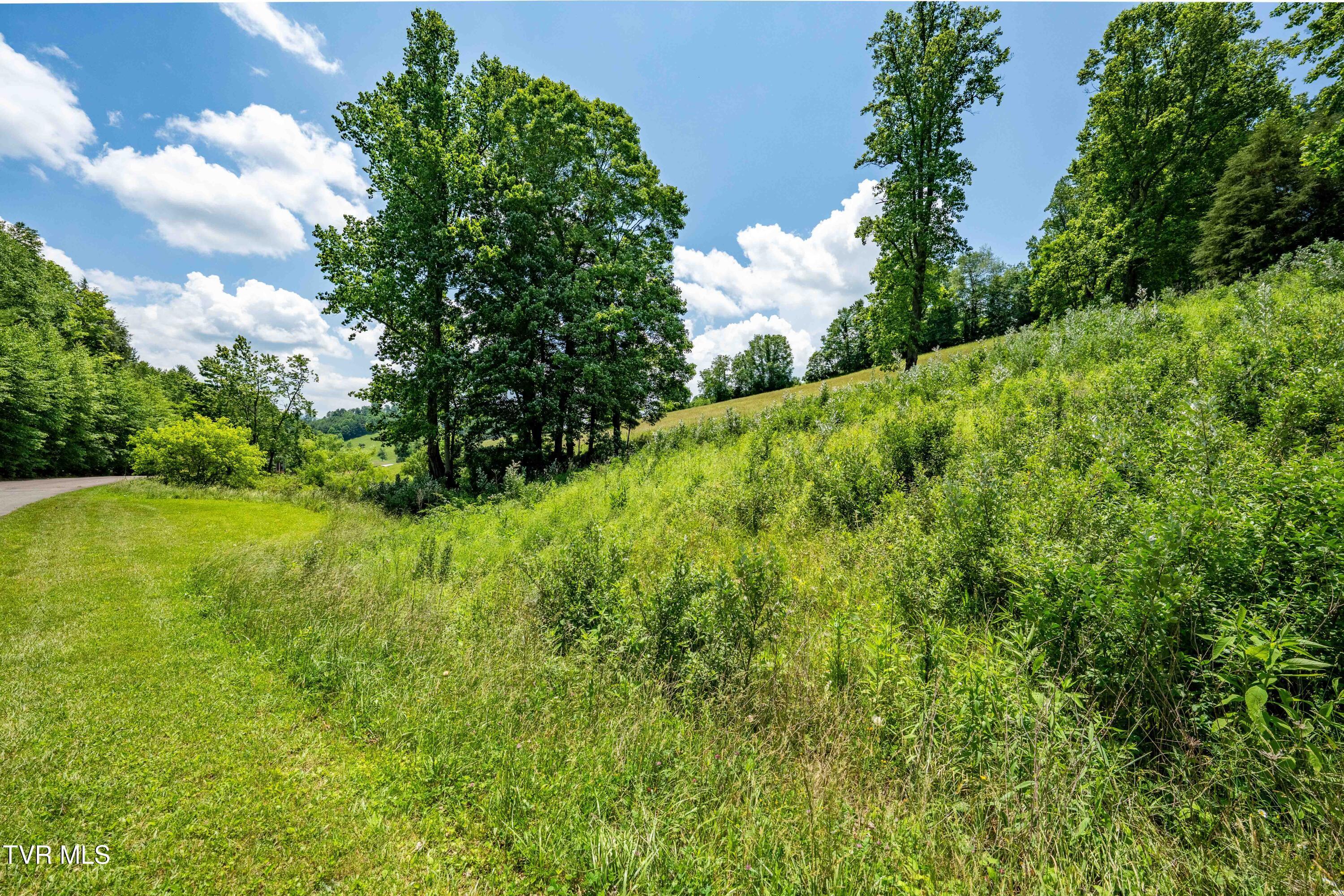 Image 3: TBD Ridgeview Dr (36 of 43)
