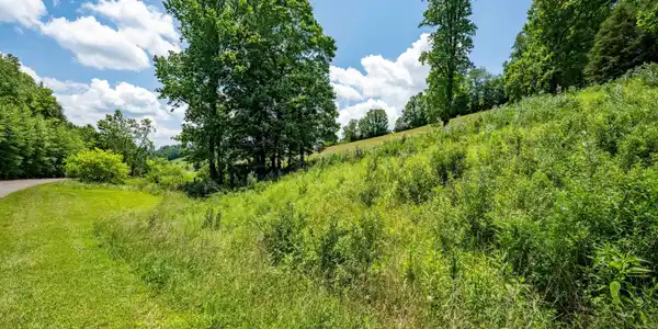 Image 3: TBD Ridgeview Dr (36 of 43)