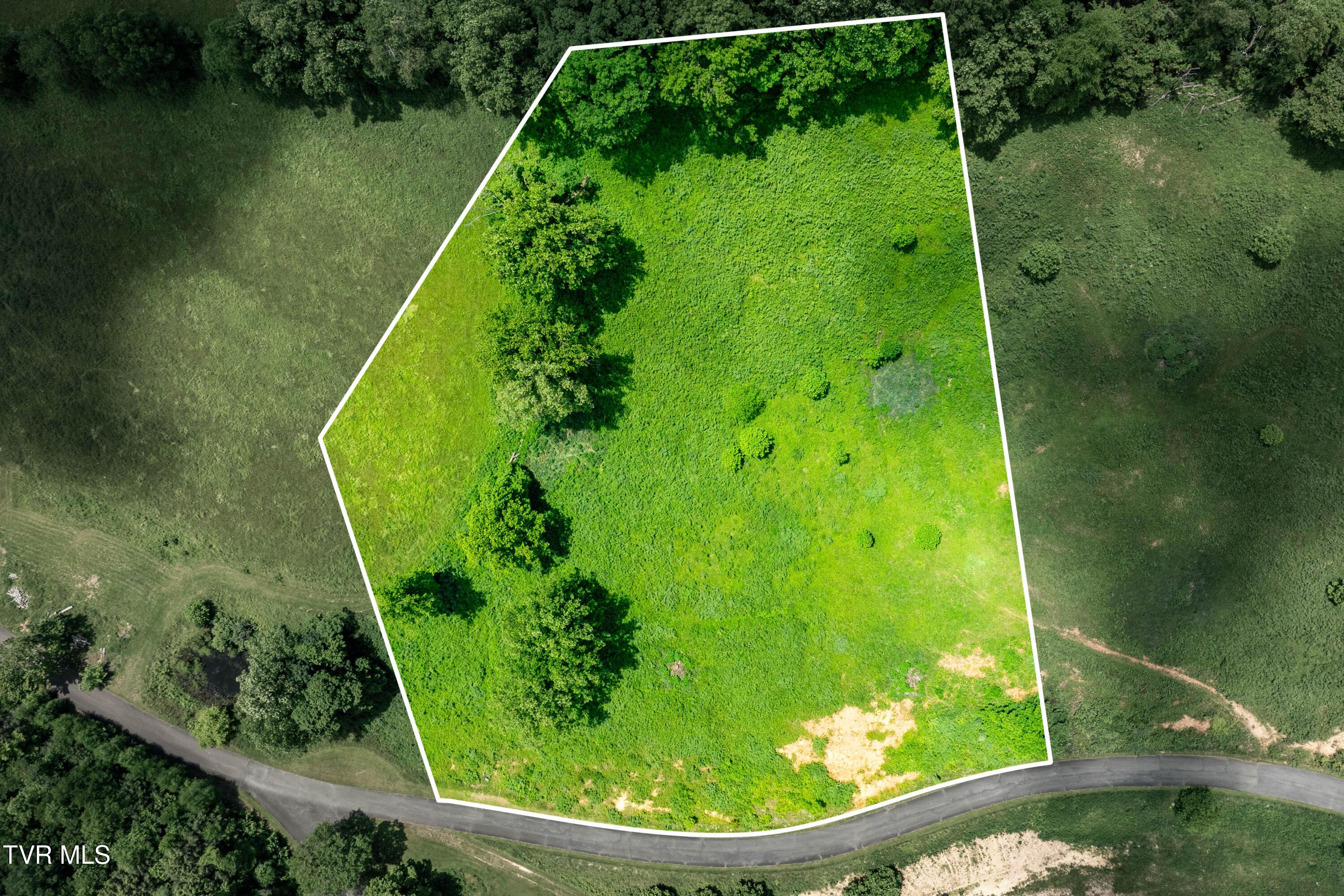 Image 4: TBD Ridgeview Dr (1 of 43)