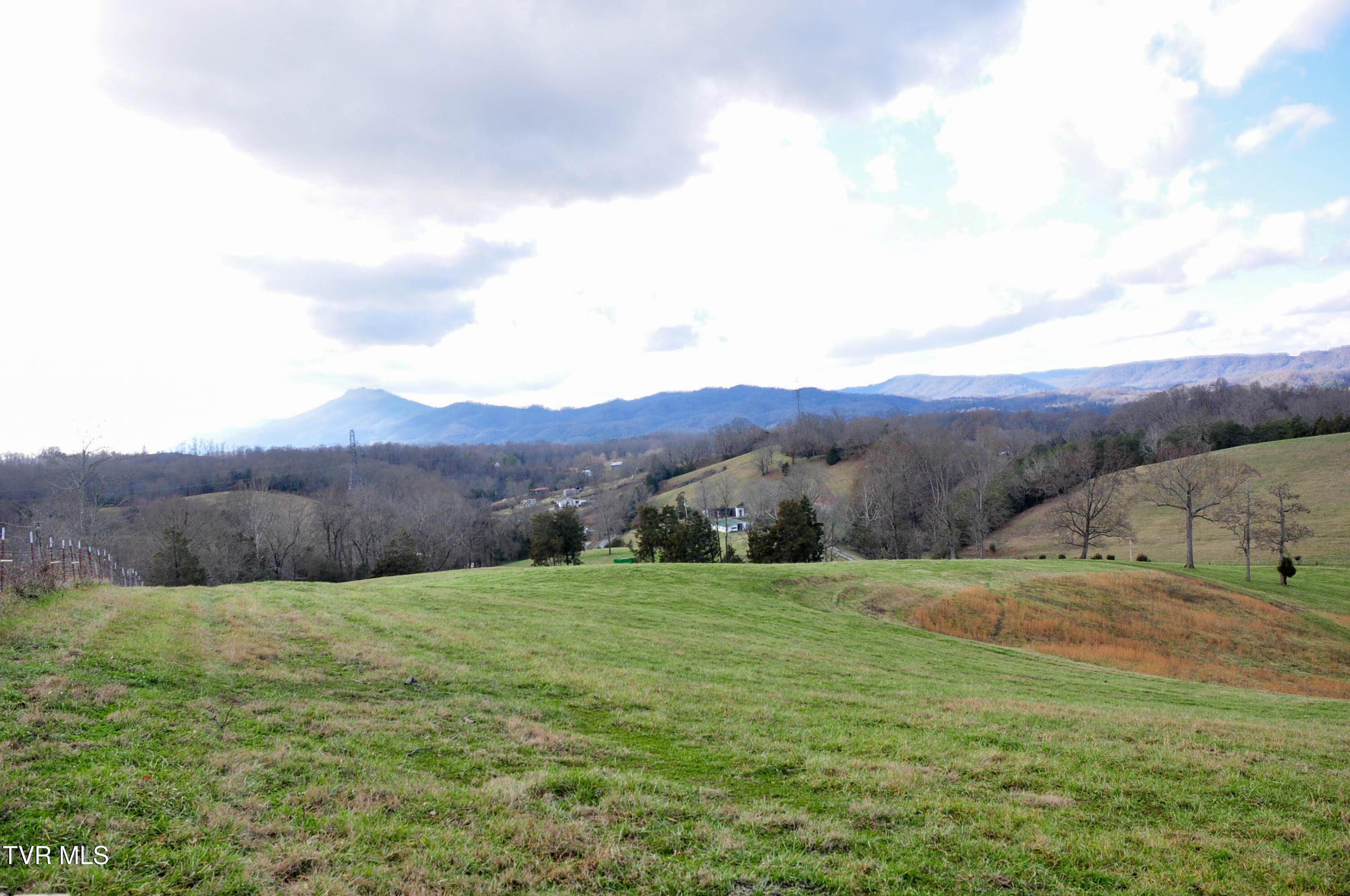Image 4: DSC_5667