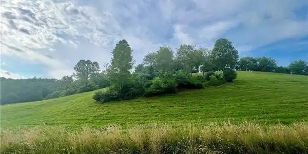 Lot 15 Silver Oak Trail