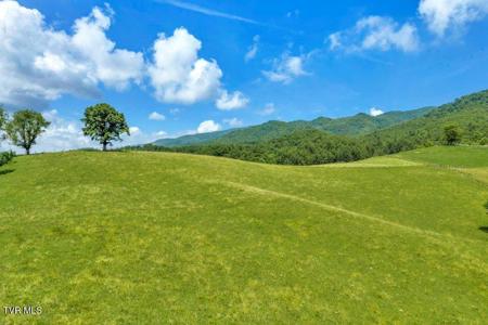 Tbd Locust Gap Road