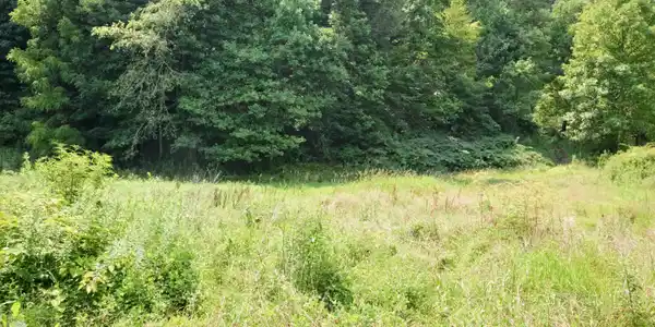 851 Browns Branch Road