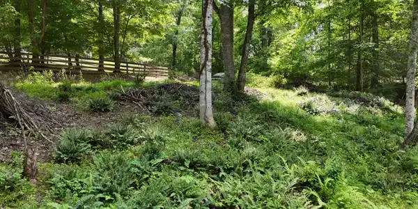Tr 1 Atwood Point