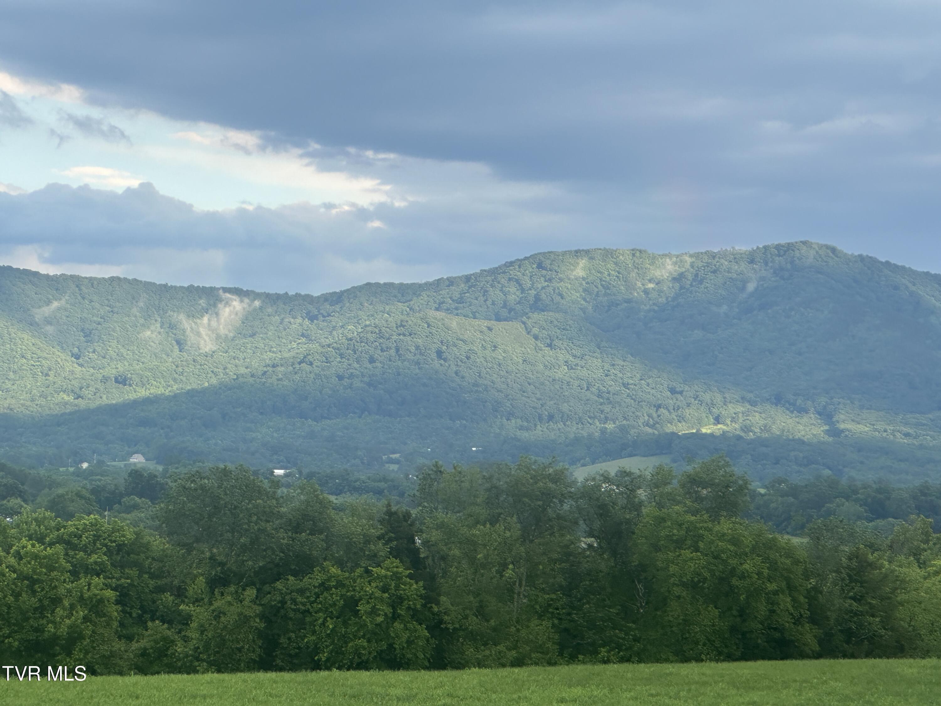 Image 3: IMG_4753