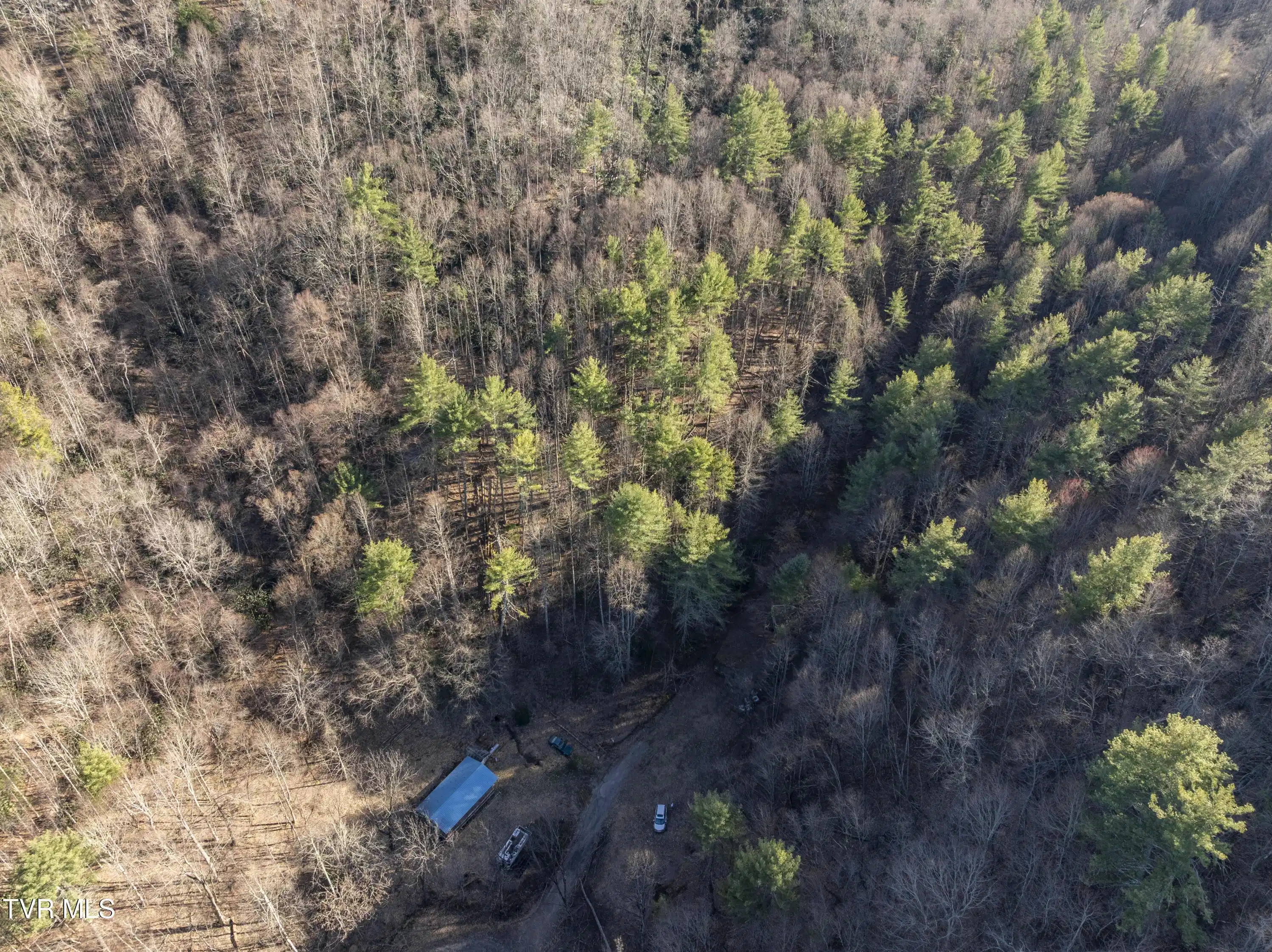 Image 1: Green-Aerials-22